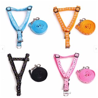 DÂY DẮT YẾM ĐI DẠO CHO CHÓ MÈO 2 LỚP - DÂY DẮT CHÓ MÈO DƯỚI 6KG