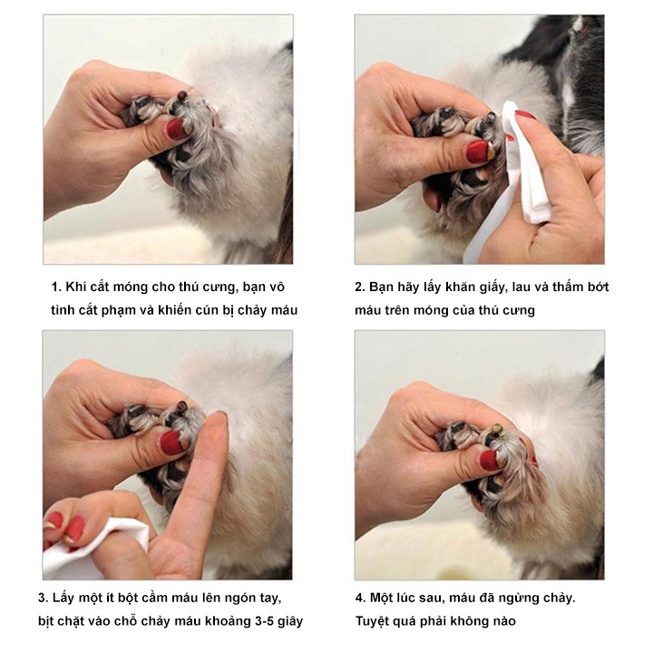 Bột Cầm Máu Dành Cho Chó Mèo Show Queen 14g Giá Rẻ #MintPet