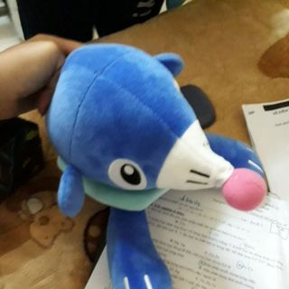 Gấu an nhiên