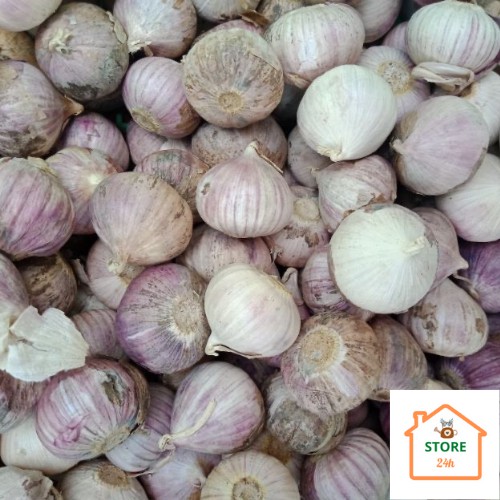 Tỏi Cô Đơn Phan Rang [1 kg]