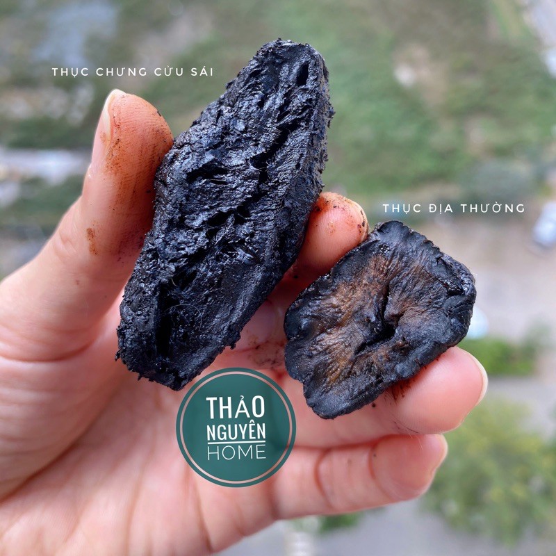 Thục địa chưng cửu sái loại I hanhmade (nhà nấu) 50gr