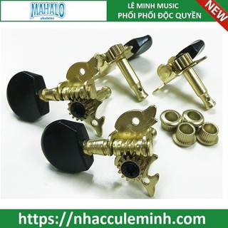 Khóa Đàn Ukulele mahalo UMH 100G