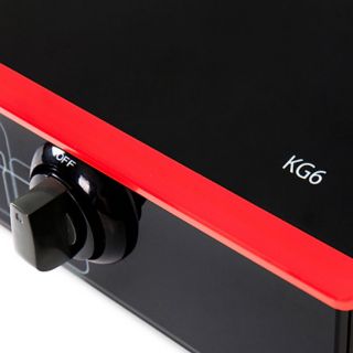BẾP GA DƯƠNG TAKA KG 6