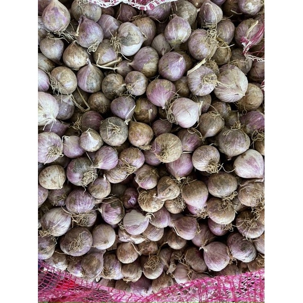 Tỏi cô đơn 1kg loại 1 Việt Nam, tỏi 1 nhánh đã chọn lọc