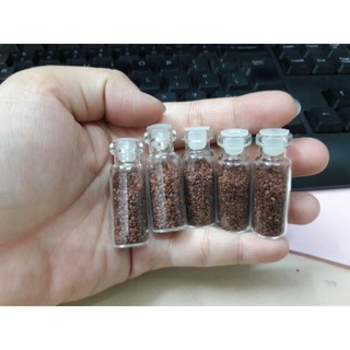 HẠT GIỐNG CỎ TRÂN CHÂU - (1500 ~ 2000 Hạt/ ống)
