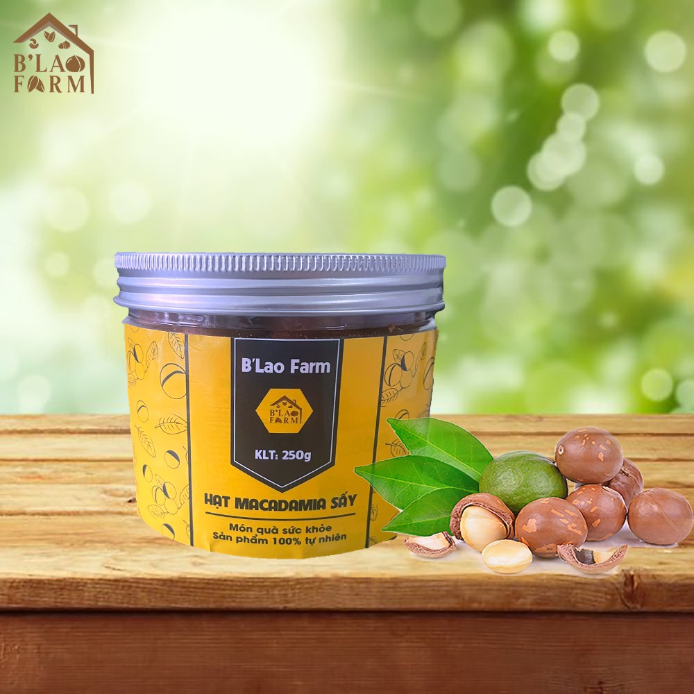 [Hũ 250g] Hạt Macca Sấy Nứt Vỏ Tự Nhiên Lâm Đồng (Hạt To, Đều, Tặng Kèm Dụng Cụ Tách Vỏ)