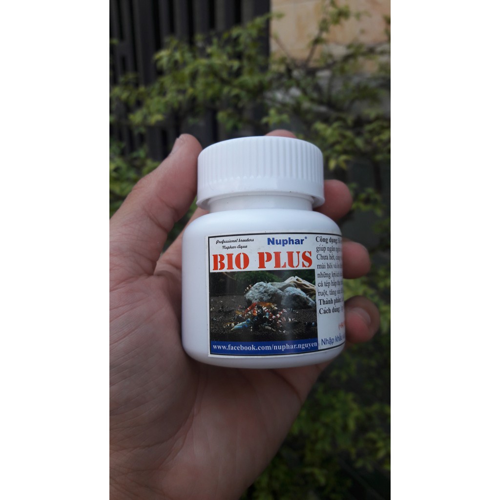 Bio Plus - Sản phẩm giúp cải thiện hệ tiêu hóa cho cá