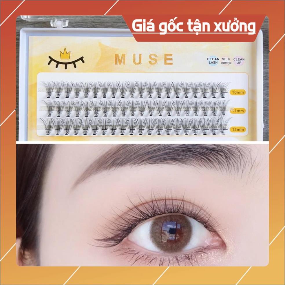 Bộ sản phẩm Lông Mi Giả, Mi chùm tách sợi tự nối MUSE