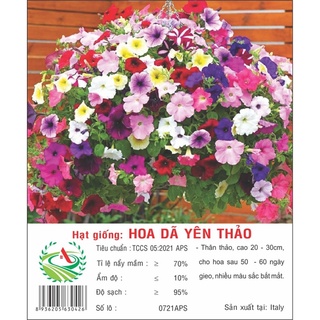 Hạt giống hoa Dã Yên Thảo