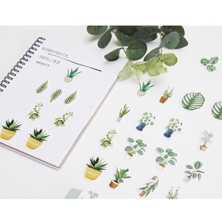 Sticker hộp 40 chiếc ST027