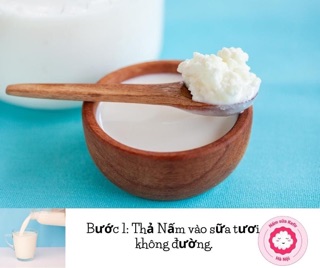 Combo nấm sữa kefi cho khách