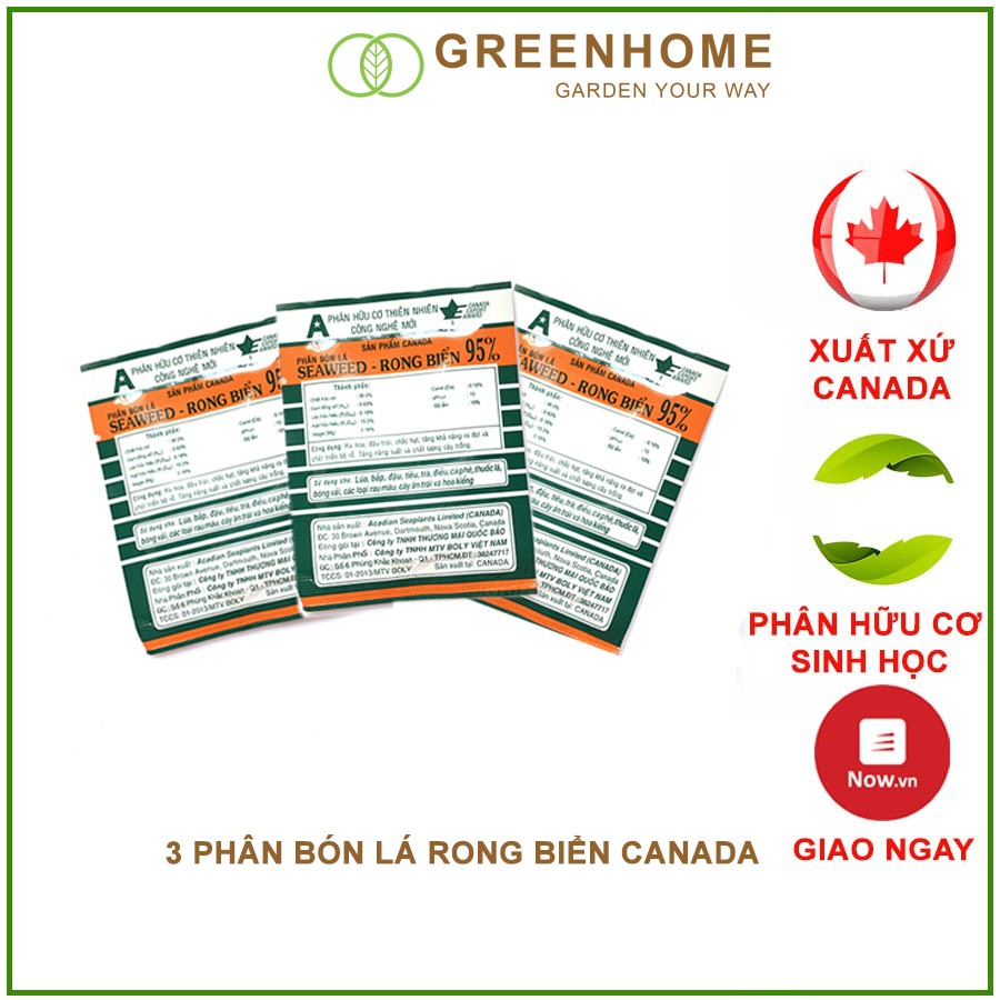 [MIỄN PHÍ VẬN CHUYỂN 70K] Phân Bón Lá Hữu Cơ Rong Biển Seaweed (Canada) - Chứa 60 Loại Dinh Dưỡng, Giúp Cây Sinh 1 HỘP