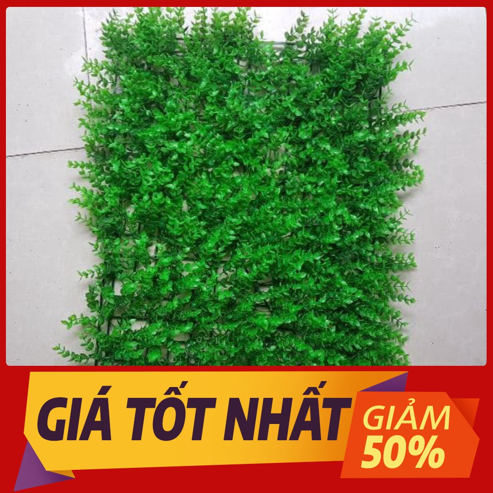 Thảm cỏ tai chuột nhựa pvc trang trí, thảm cỏ nhân tạo treo tường KT40x60cm