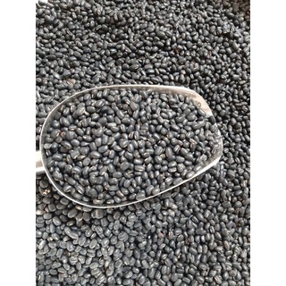Trà Đậu đen + Đậu đỏ + Gạo lứt