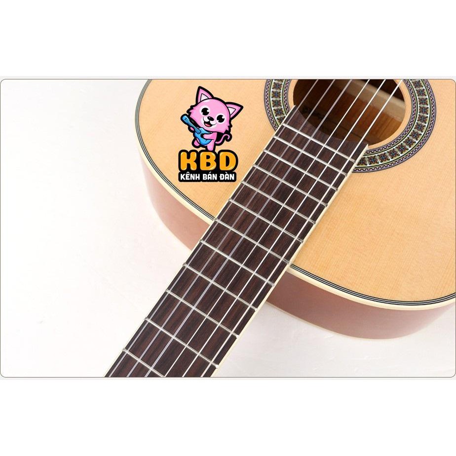 Đàn Guitar classic giá rẻ có ty cho người mới chơi