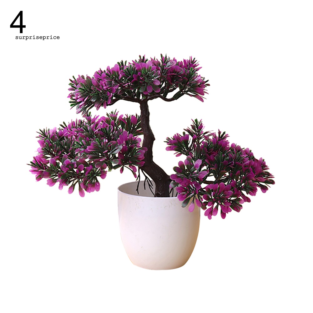 Chậu Cây Bonsai Giả Trang Trí Nhà Cửa / Khách Sạn / Sân Vườn