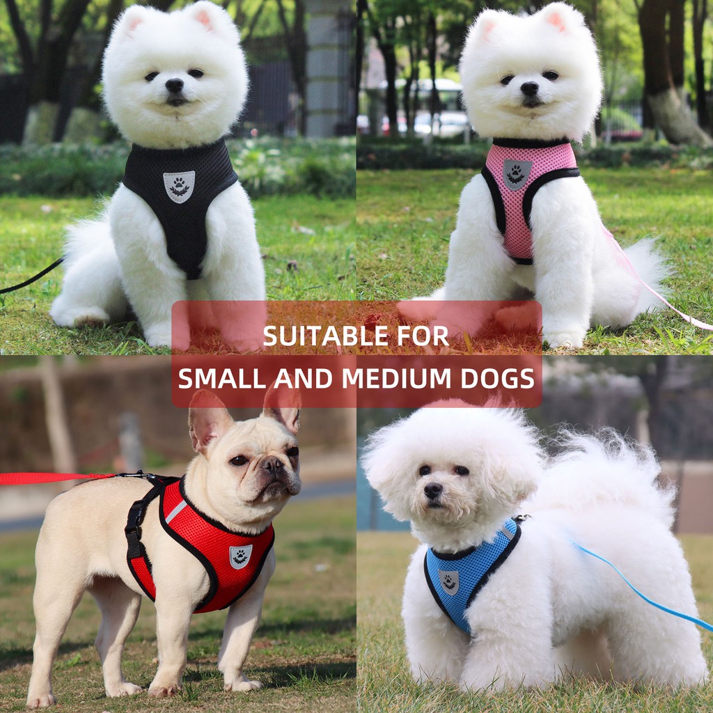 Bộ đai đeo ngực và dây dắt đi dạo màu sắc phản quang thông thoáng dành cho cún bulldog chihuahua pugdog