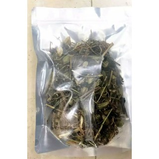 cây tầm bóp khô