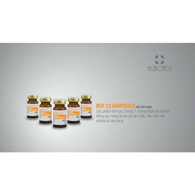 TẾ BÀO GỐC REBONEL BSF12