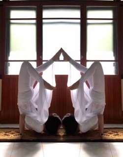 quần múa , tập yoga( hàng loại 1 - 4 màu mặc không bị đõn)