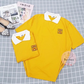 [Ảnh thật] Áo thun/phông nữ có cổ thêu hình gấu Brown dễ thương ulzzang