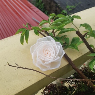 Hoa cài áo handmade cao cấp