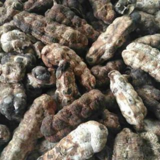 1 kg chuối cô đơn, chuối mồ côi
