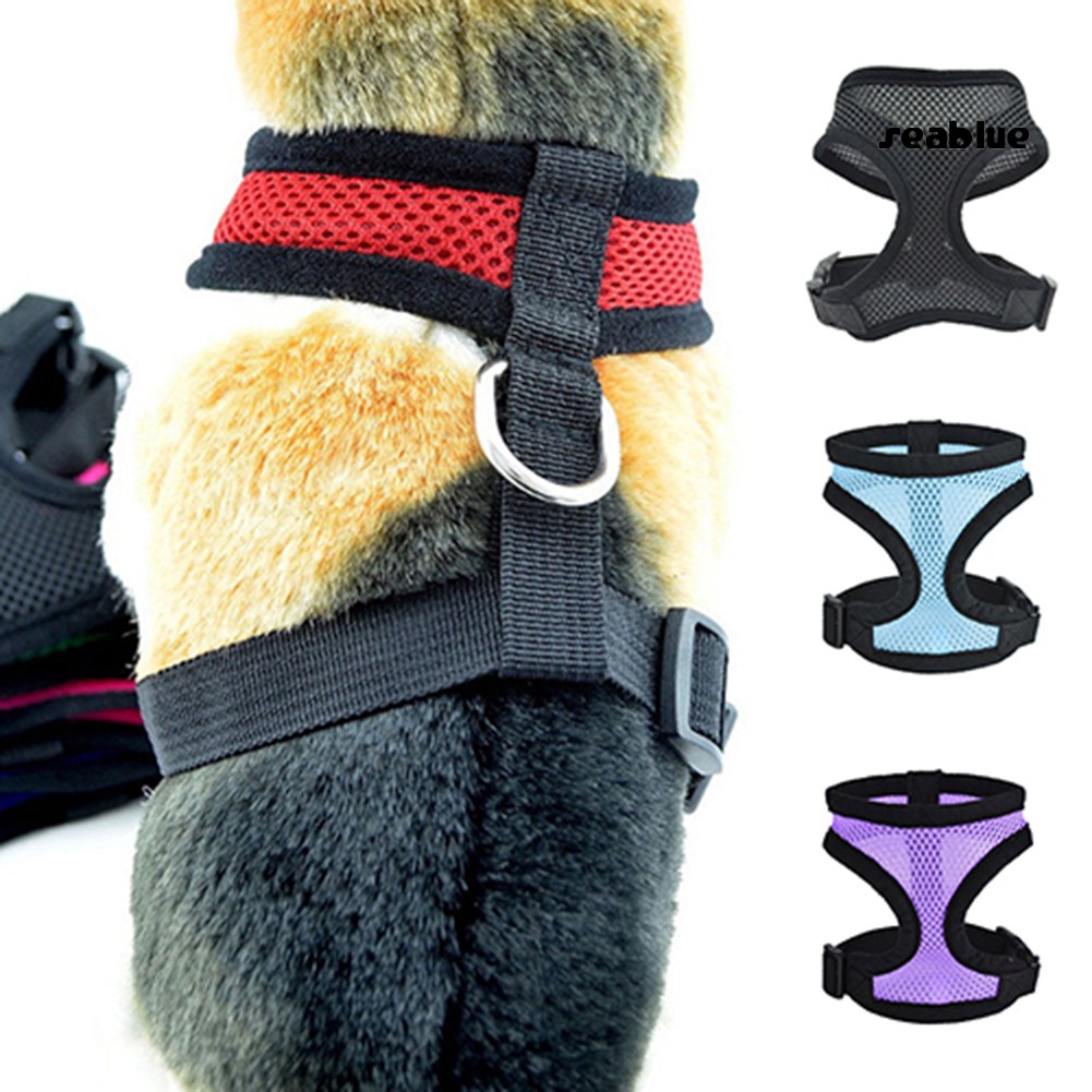 Dây Đeo An Toàn Cho Thú Cưng