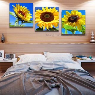 Bộ 3 tranh canvas chủ đề đồi hoa hướng dương khung hình phạm gia PG190