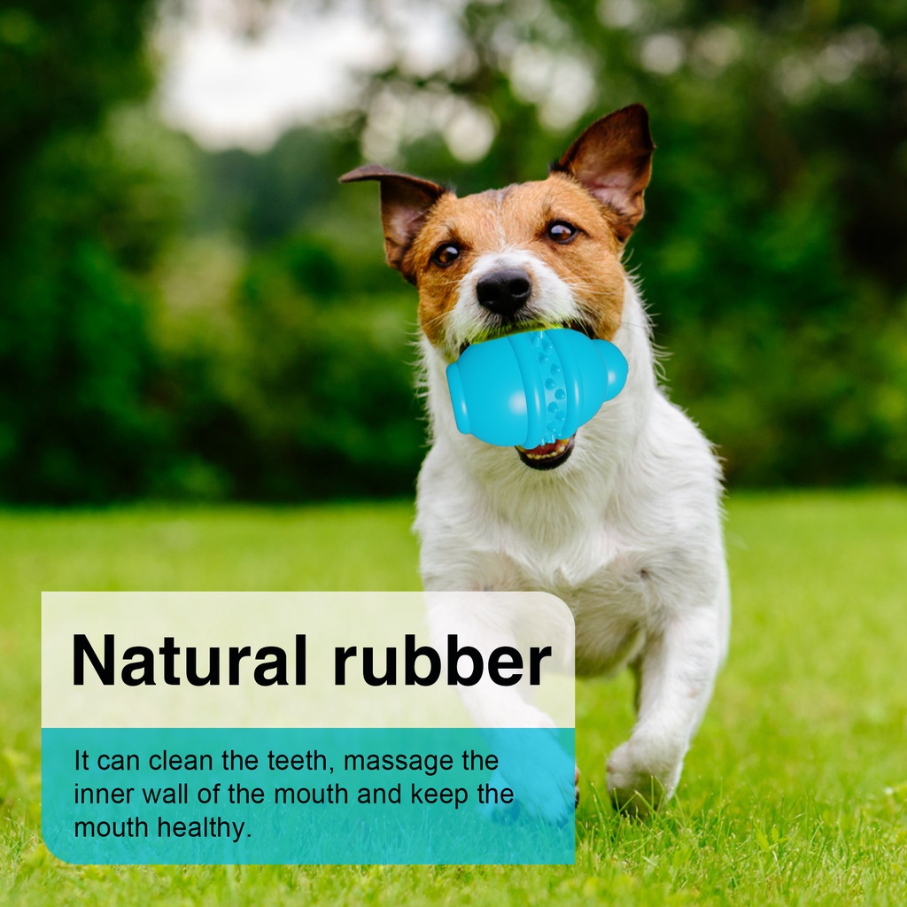 Đồ Chơi Nhai Gặm Bằng Cao Su Tự Nhiên An Toàn Cho Thú Cưng