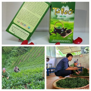 Trà Như Cố Bắc Kạn