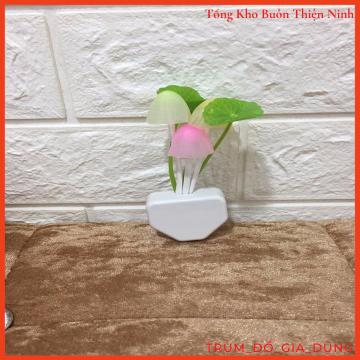 ĐÈN NGỦ CẢM ỨNG NGÀY TẮT TỐI BÂT HÌNH NẤM