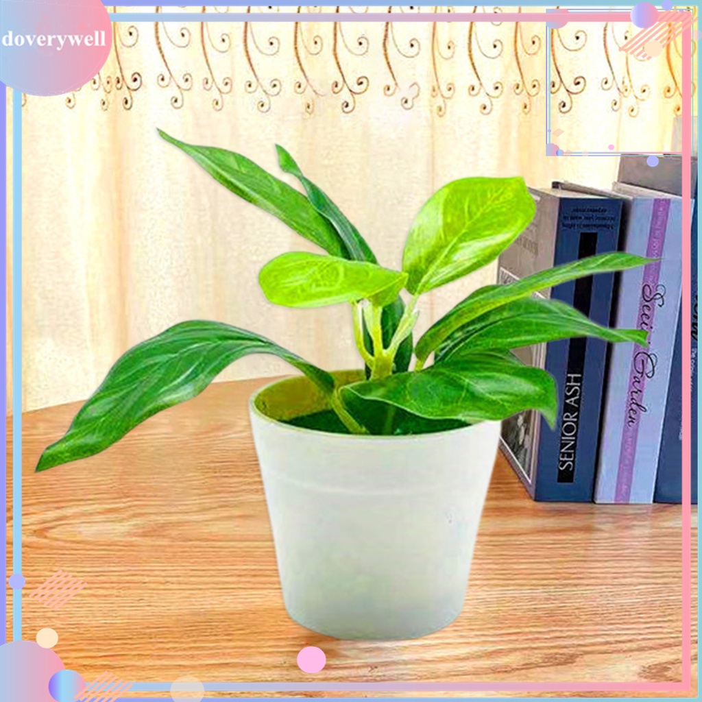 Chậu Cây Cảnh Nhân Tạo Bằng Nhựa Sống Động Trang Trí Nhà Cửa