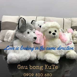Gấu bông - Chó tiểu thư và Husky