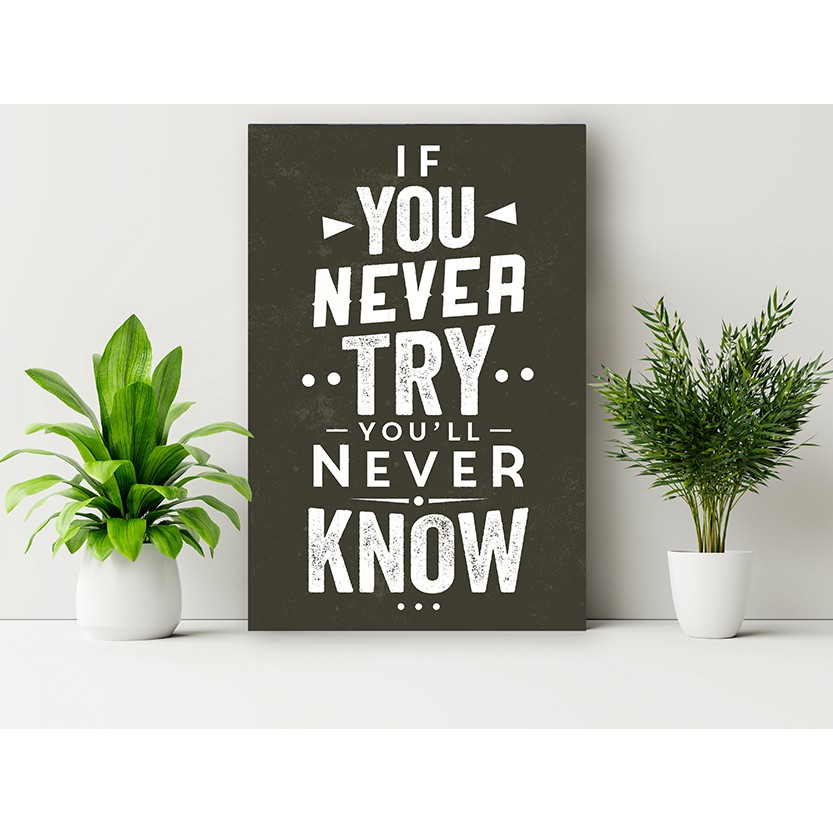 TRANH ĐỘNG LỰC - IF YOU NEVER TRY YOU WILL NEVER KNOW