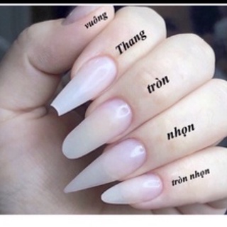 [MẪU TRENDY] NAILBOX MÓNG ÚP THIẾT KẾ THEO YÊU CẦU