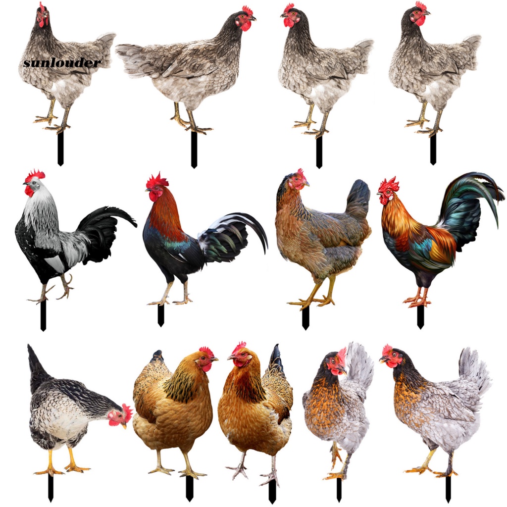 Mô Hình Con Gà Trống Trang Trí Sân Vườn