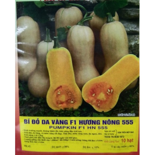 HẠT BÍ ĐỎ DA VÀNG F1 - GÓI 10 HẠT