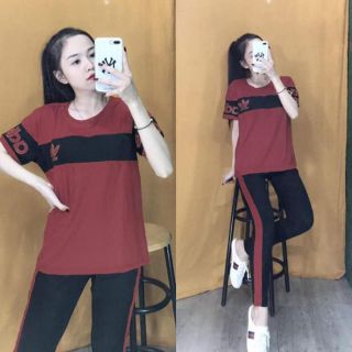 Bo côtbg mật nha