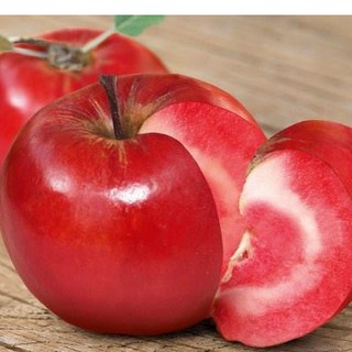 Hạt giống cây ăn trái táo đỏ Mỹ ( Gói 10 hạt Tặng gói kích thích hạt nảy mầm ) - STHG2