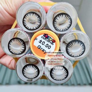 Lens gray pudding