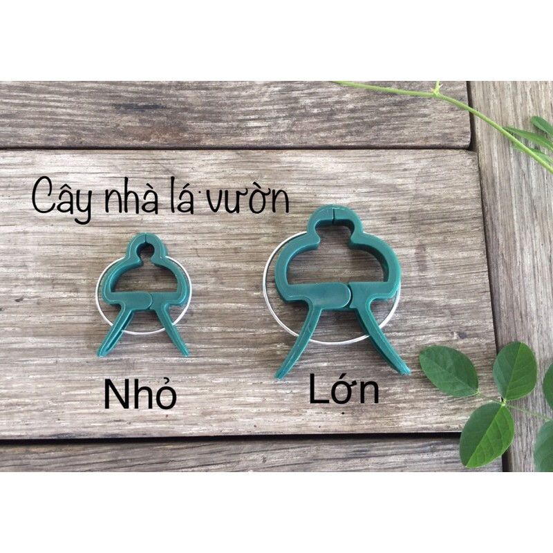 Kẹp giữ cà chua, dưa leo, hoa hồng.