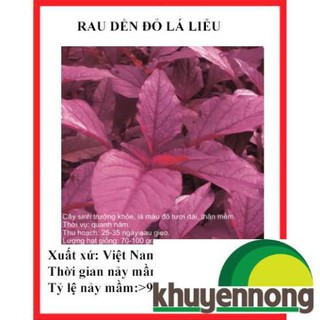 10 gram hạt giống rau dền đỏ lá liễu