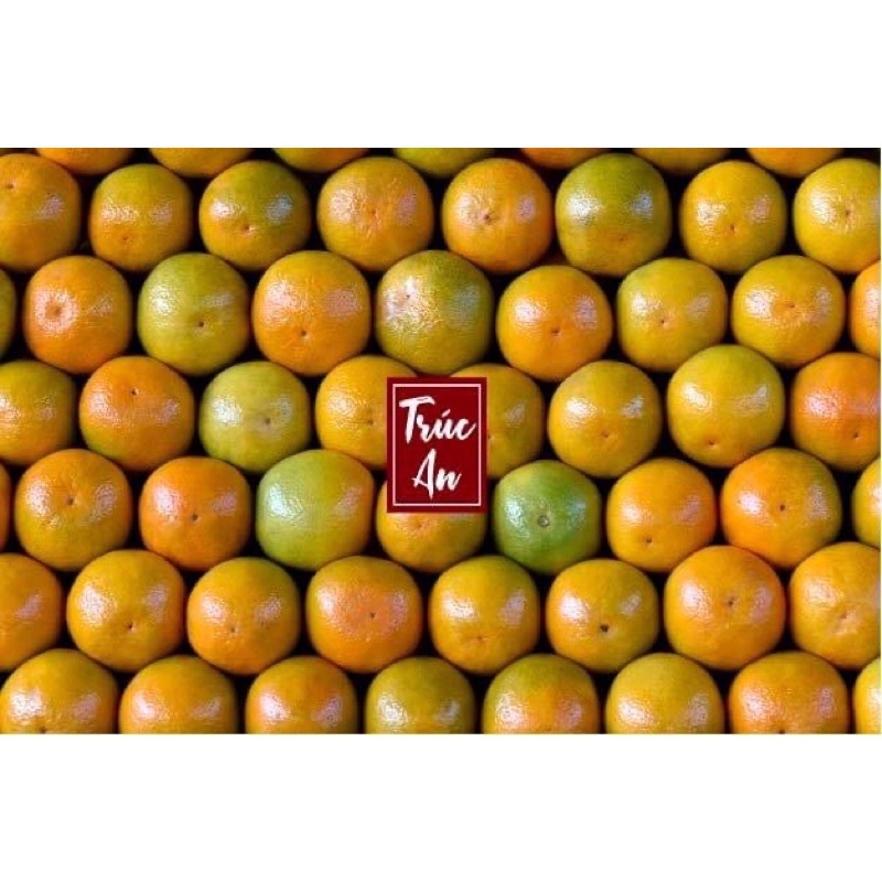 Tắc xí muội đường phèn 1kg1 - sợi tắc được xắt tay, sợi dài đẹp không bị nát, giòn sựt sựt đúng chuẩn xí muội