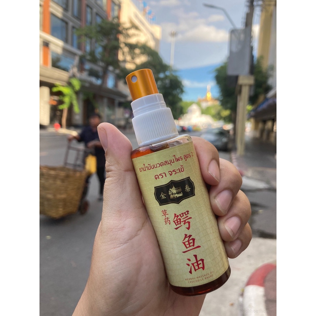 Dầu xoa bóp cá sấu vàng Herbal Massage Oil Crocodile Brand