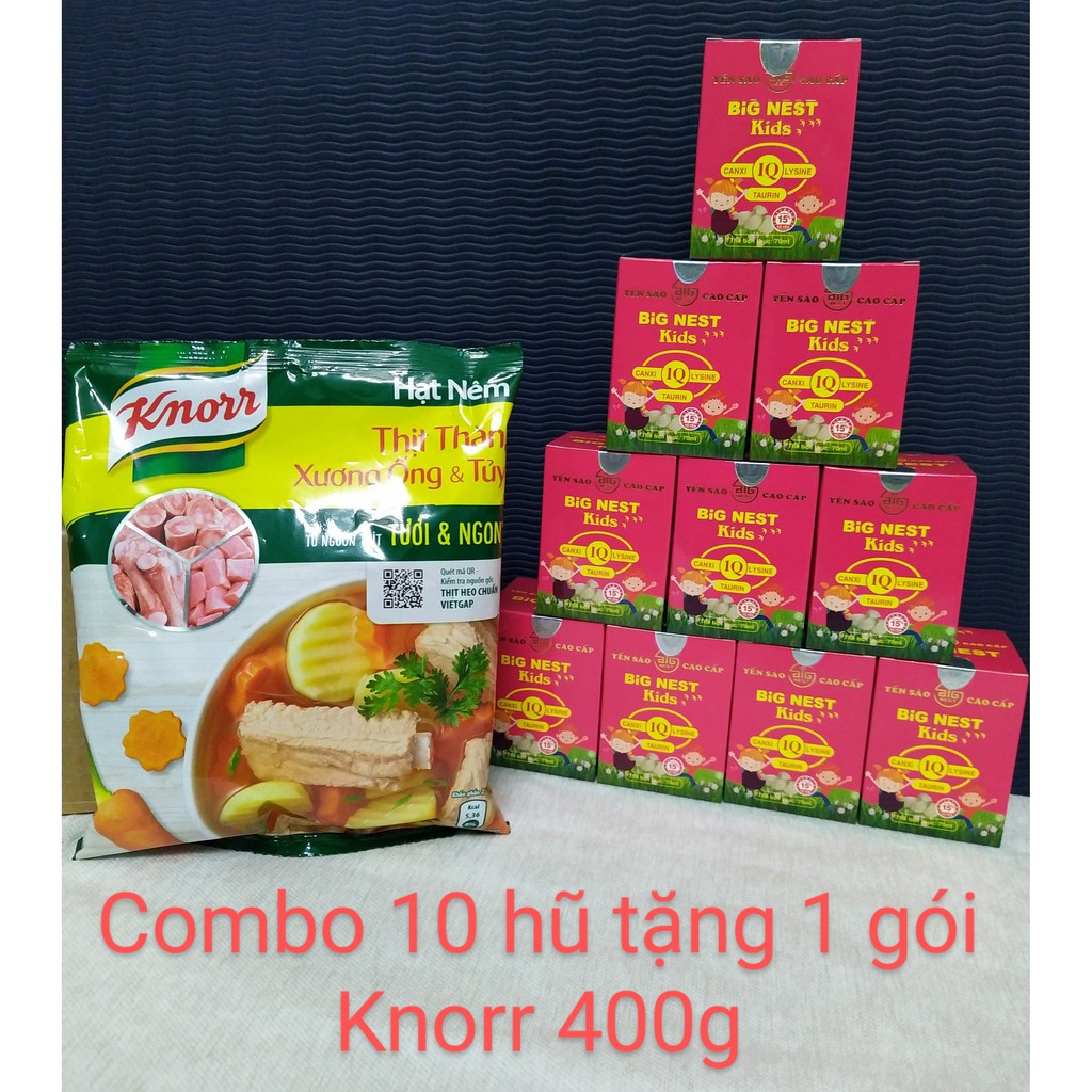 (TẶNG HẠT NÊM 400G) Combo 10 hũ yến sào trẻ em bignest 700ml 15% tổ yến