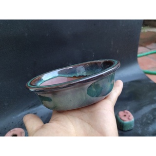 combo 5 chậu bonsai