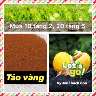 Ốc táo vàng size 10-15mm