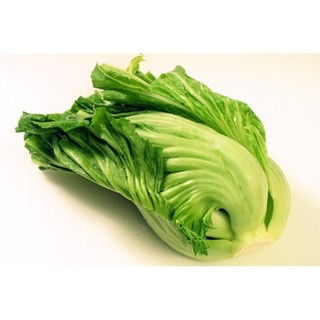 Hạt giống rau cải bẹ muối dưa