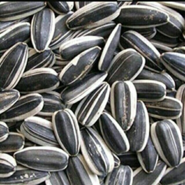 1kg Hạt Hướng Dương